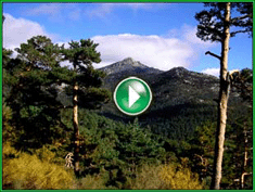 Documentales de Cercedilla y del Parque Nacional de la Sierra de Gauadarrama