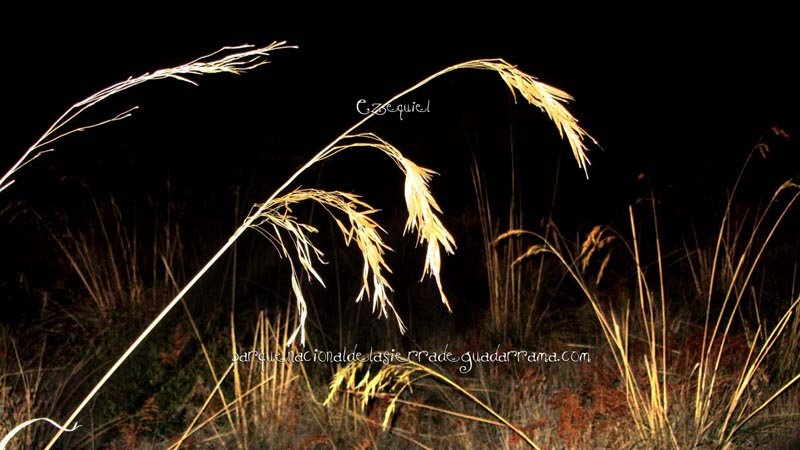 fotos_por_bustarviejo_42