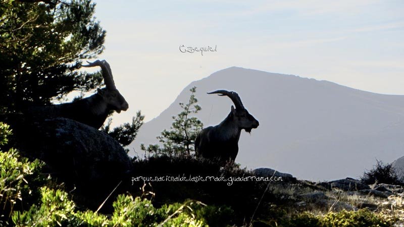 fotos_por_collado_ventana_04