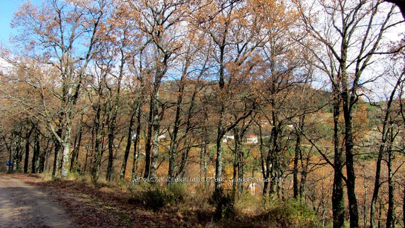 fotos_por_cuatro_calles_03