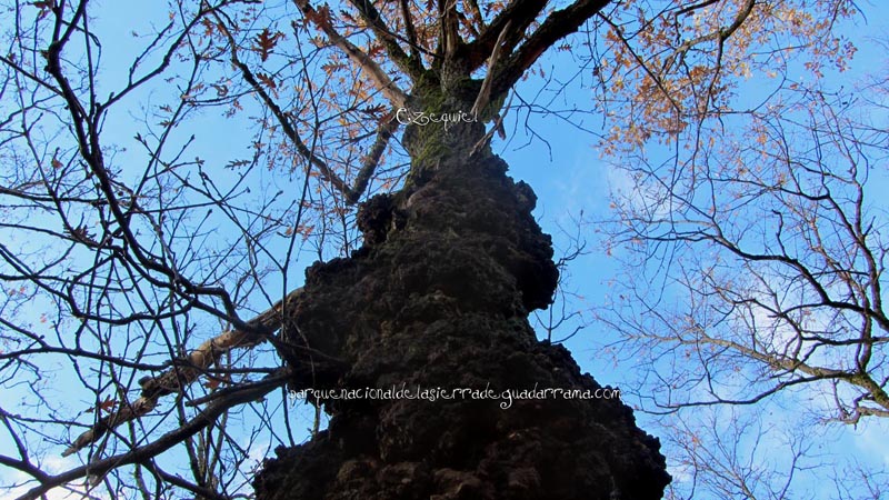 fotos_por_cuatro_calles_04