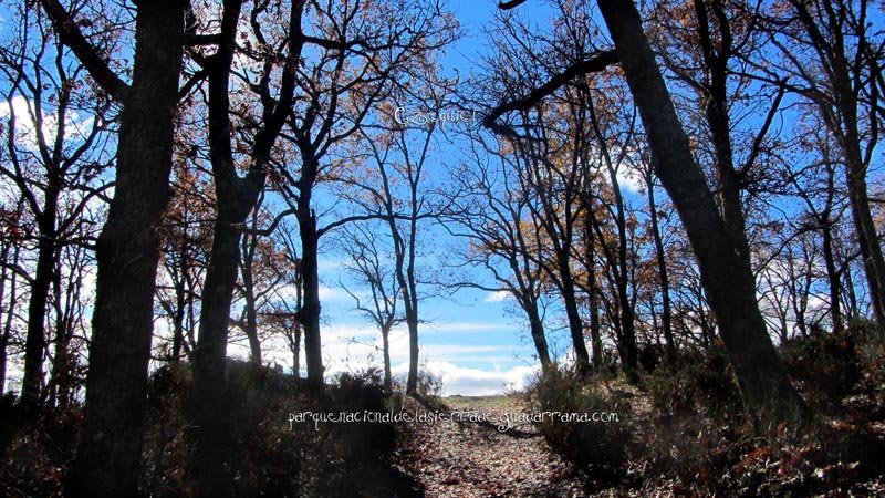 fotos_por_cuatro_calles_05