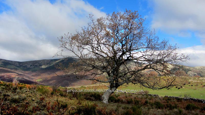 fotos_por_cuatro_calles_17