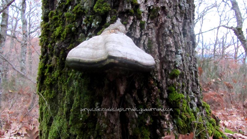 fotos_por_cuatro_calles_21