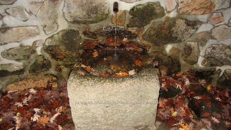 fotos_por_cuatro_calles_25