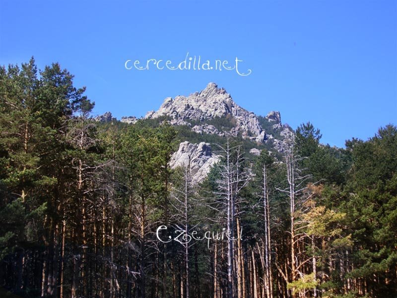 fotos_por_hoyo_cerrado_01