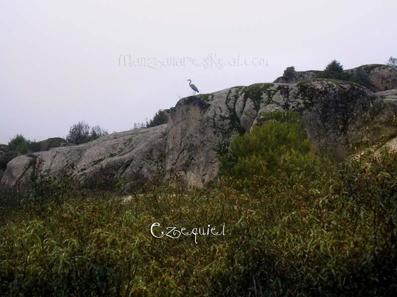 fotos_por_manzanares_real_18