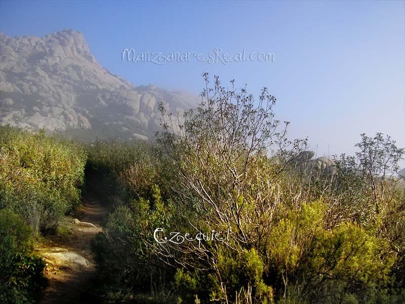 fotos_por_manzanares_real_26