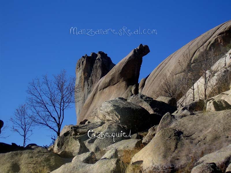 fotos_por_manzanares_real_47