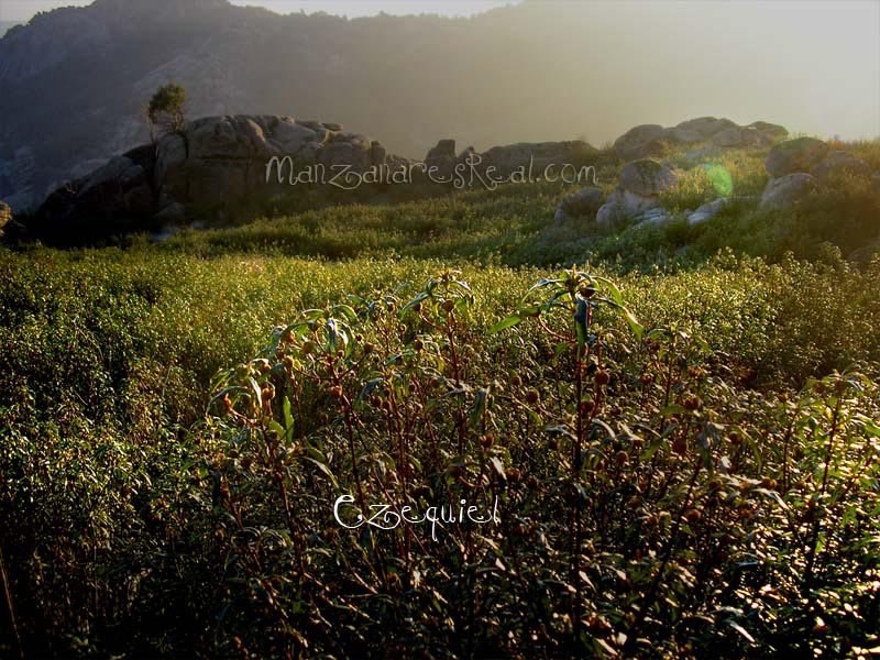 fotos_por_manzanares_real_53