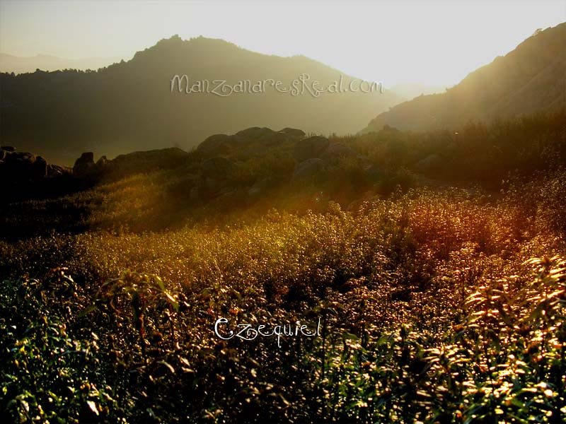 fotos_por_manzanares_real_56