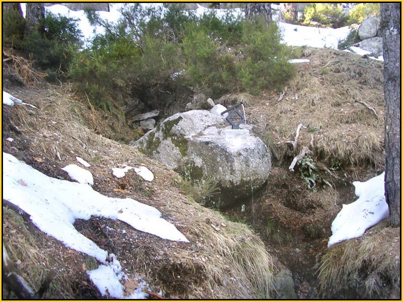 Mis Fuentes - FOTO 21