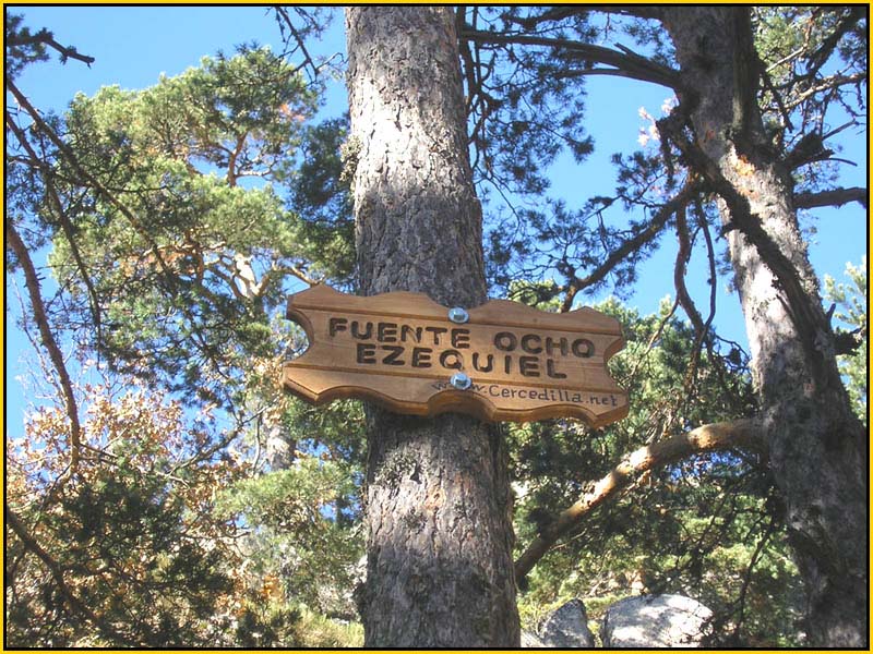 Mis Fuentes - FOTO 22