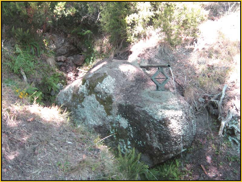 Mis Fuentes - FOTO 25