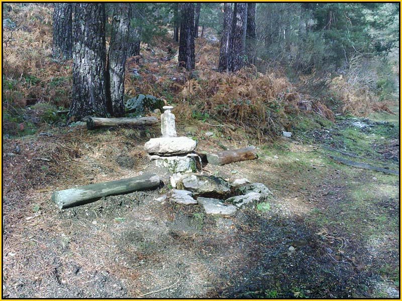 Mis Fuentes - FOTO 26