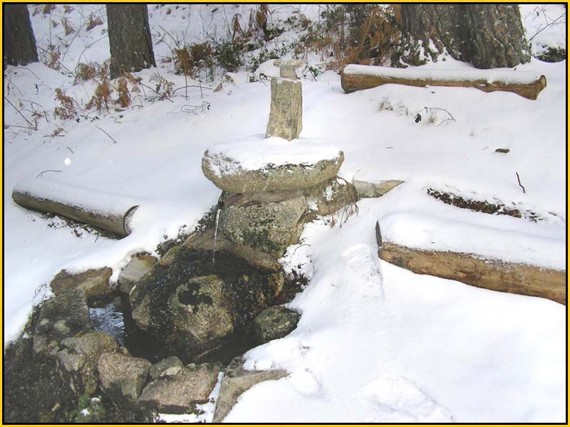 Mis Fuentes - FOTO 28