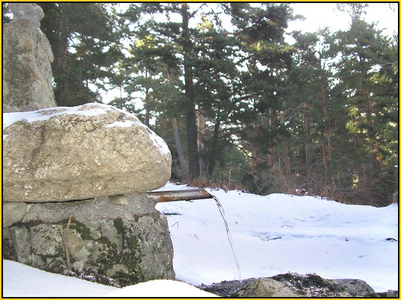 Mis Fuentes - FOTO 29