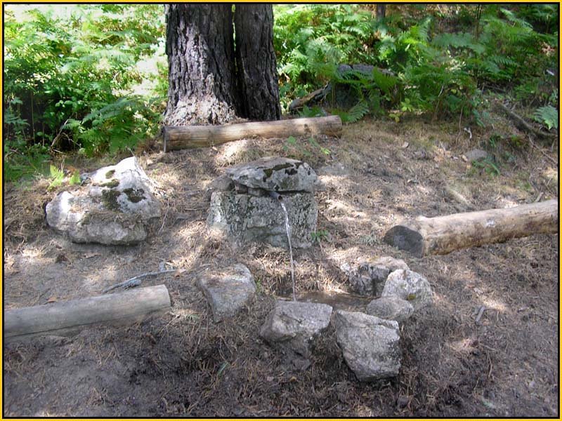 Mis Fuentes - FOTO 31