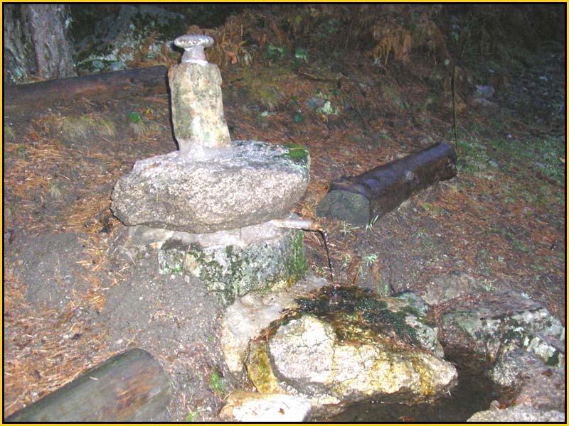 Mis Fuentes - FOTO 33