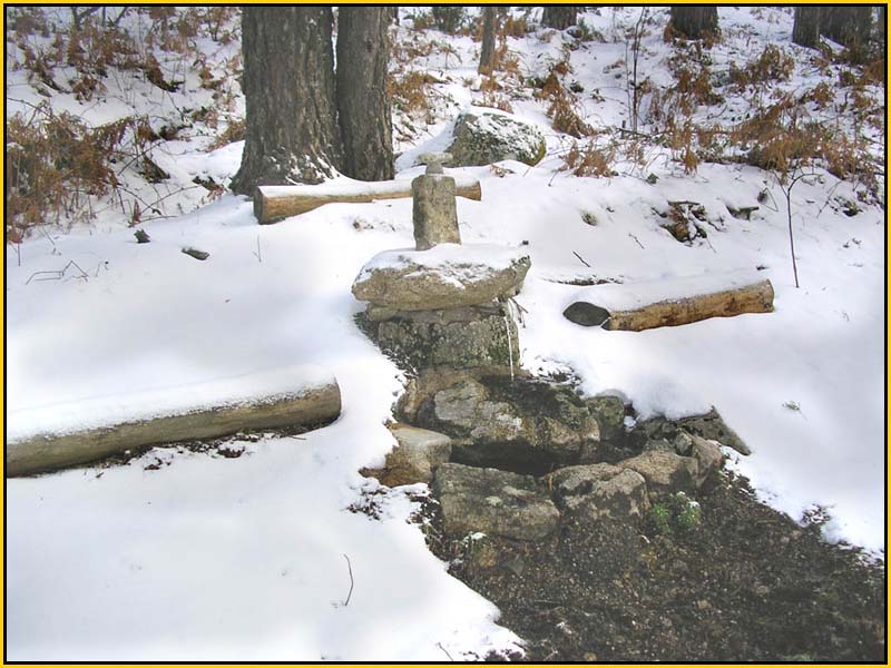 Mis Fuentes - FOTO 35