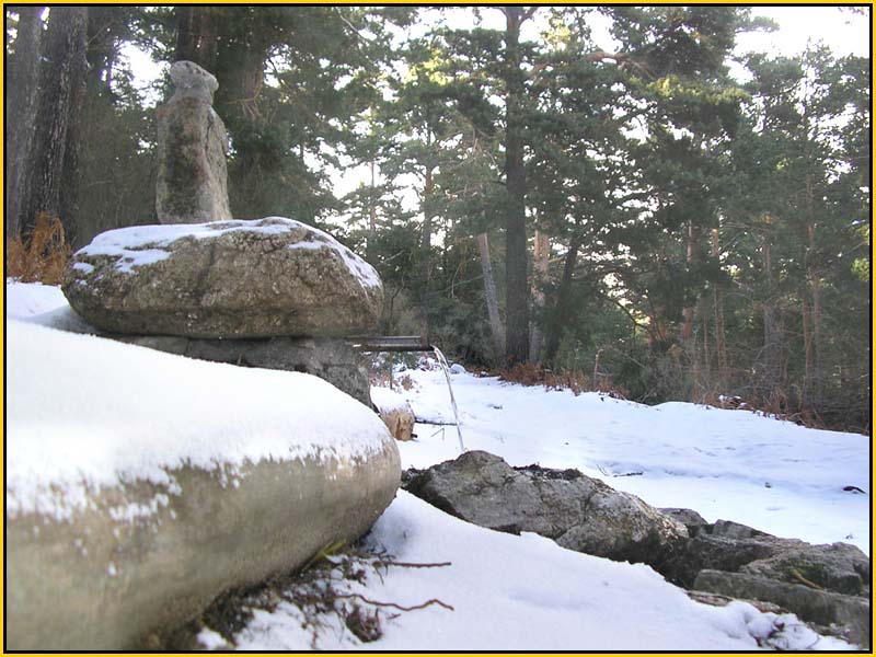 Mis Fuentes - FOTO 37