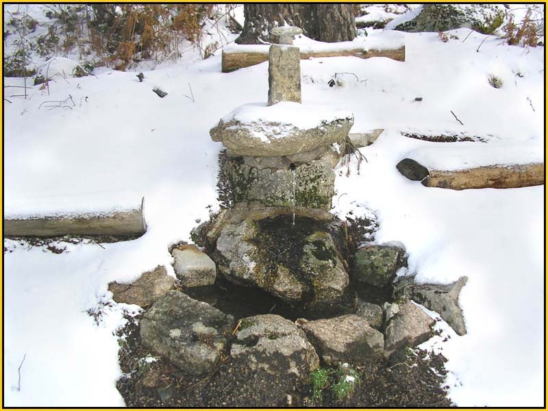 Mis Fuentes - FOTO 39