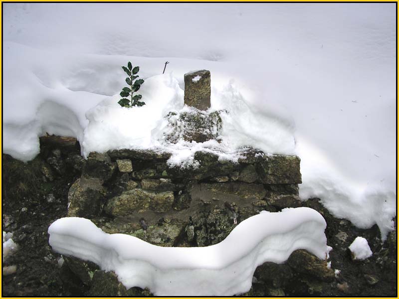 Mis Fuentes - FOTO 46