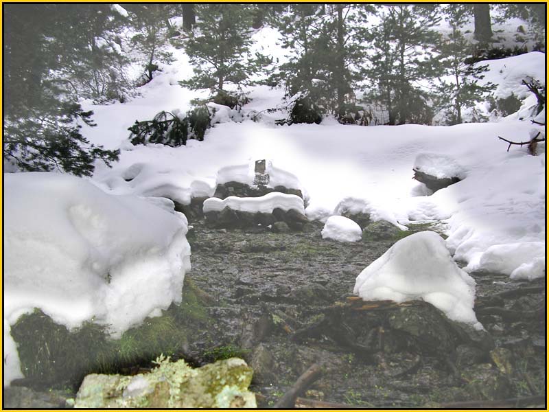 Mis Fuentes - FOTO 47