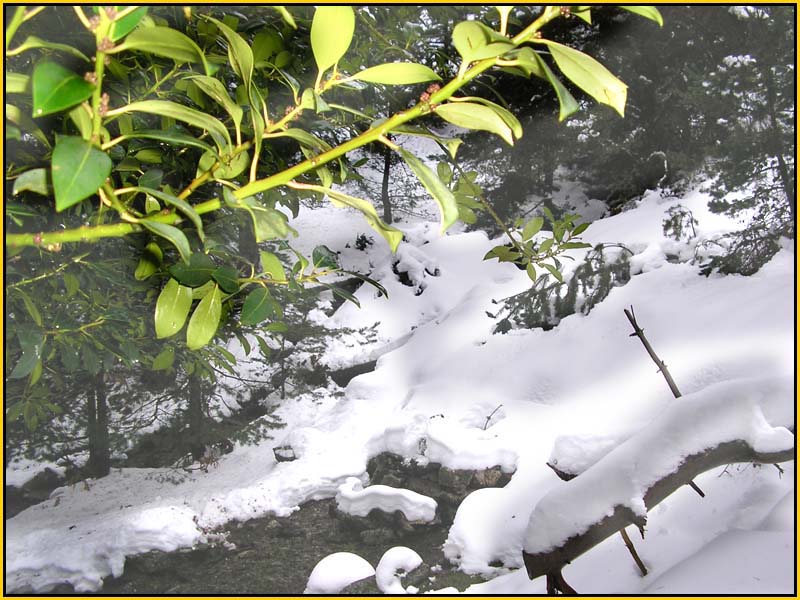 Mis Fuentes - FOTO 48