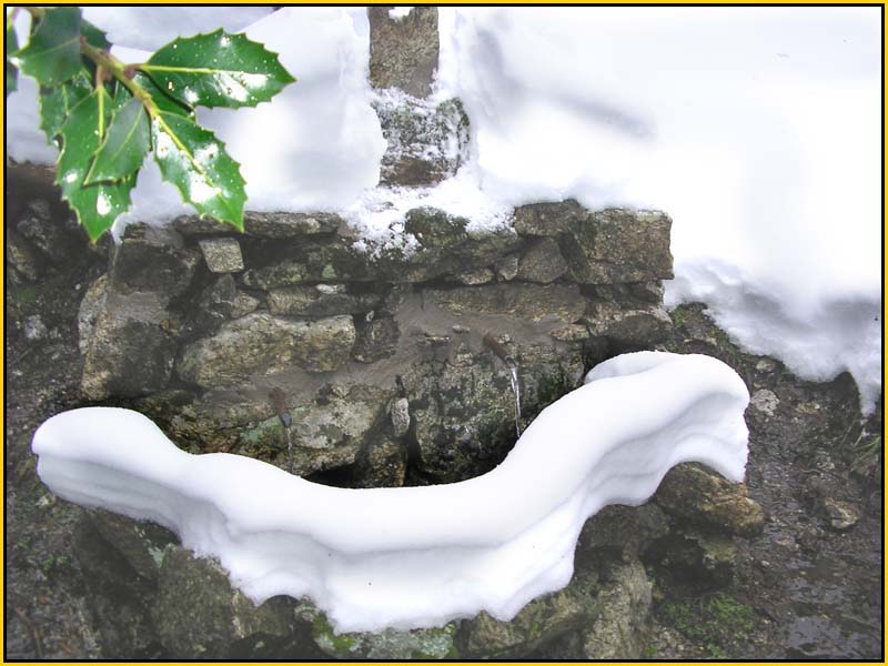 Mis Fuentes - FOTO 49