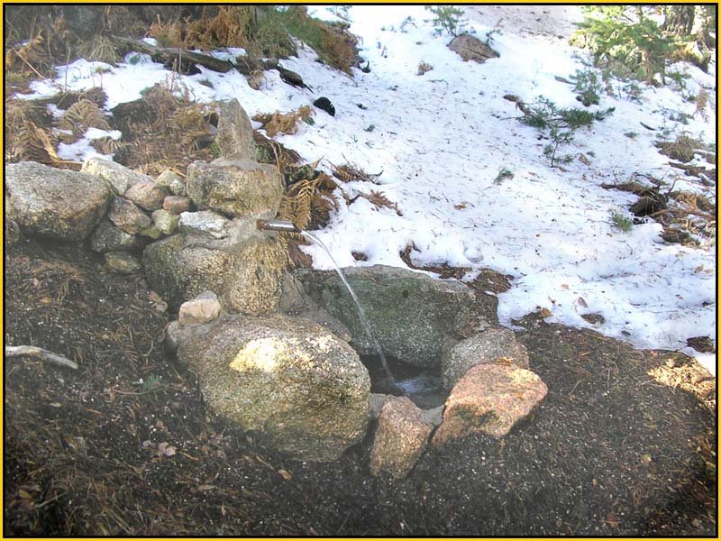 Mis Fuentes - FOTO 51