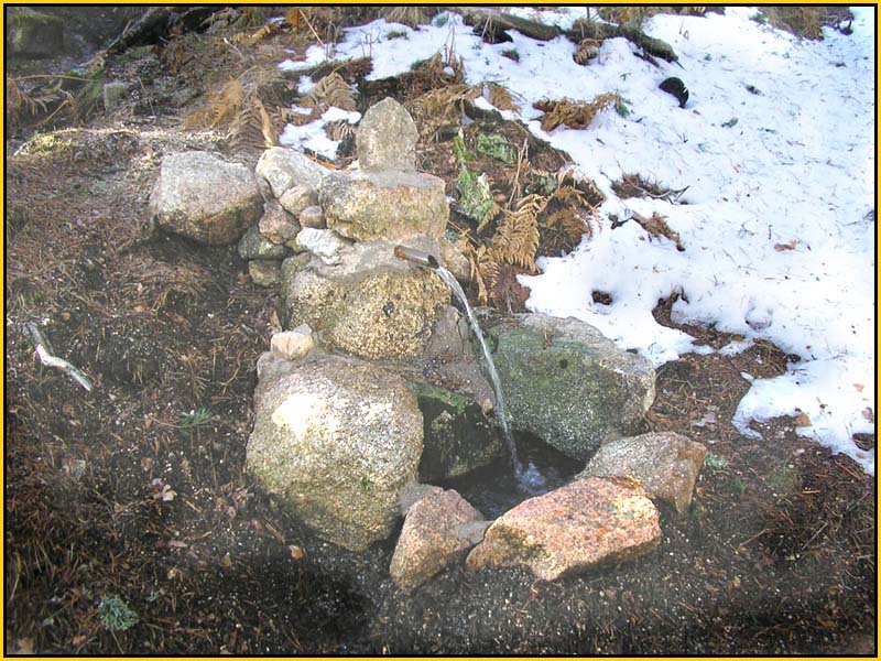 Mis Fuentes - FOTO 52