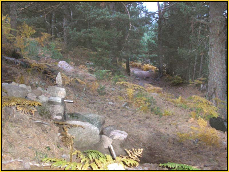 Mis Fuentes - FOTO 54