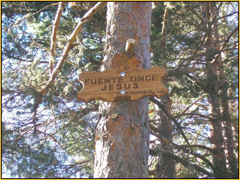 Mis Fuentes - FOTO 56