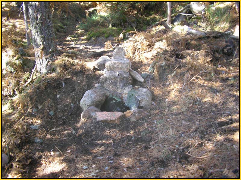 Mis Fuentes - FOTO 58