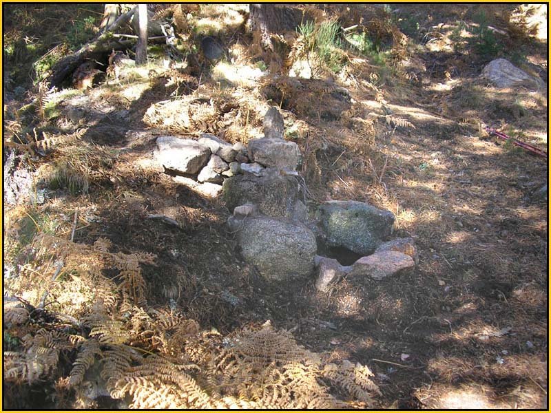 Mis Fuentes - FOTO 59