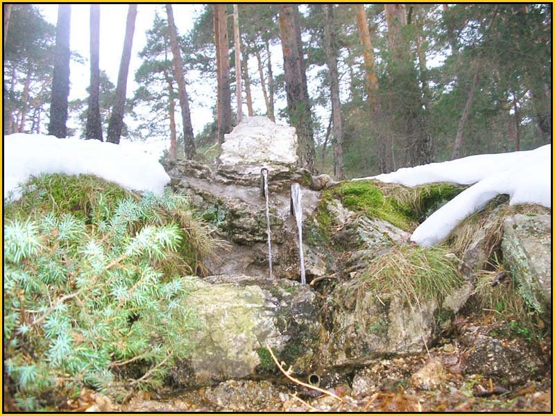 Mis Fuentes - FOTO 62