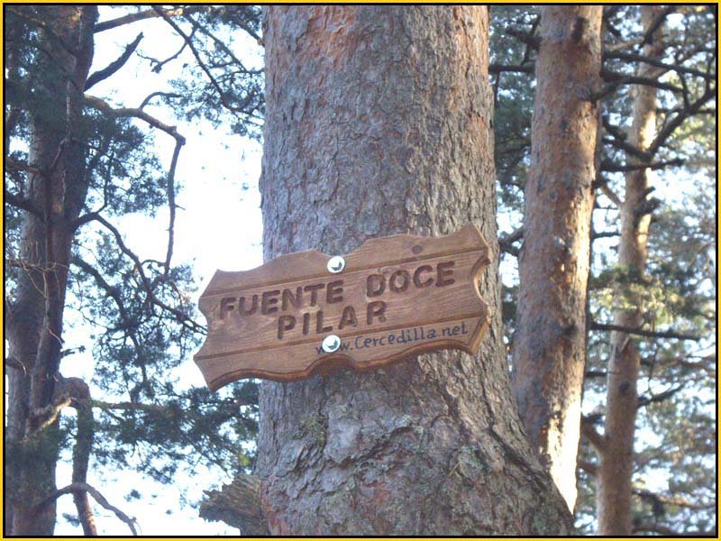 Mis Fuentes - FOTO 63