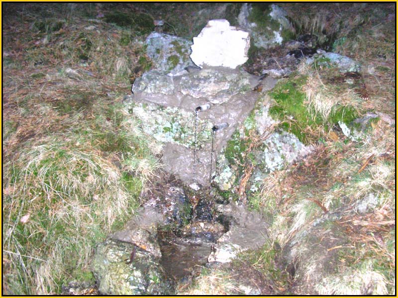 Mis Fuentes - FOTO 64