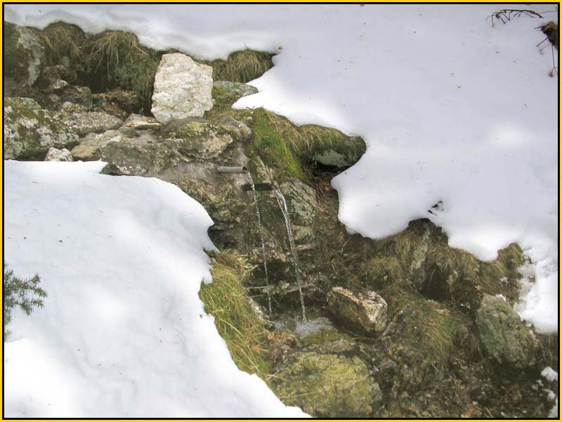 Mis Fuentes - FOTO 67