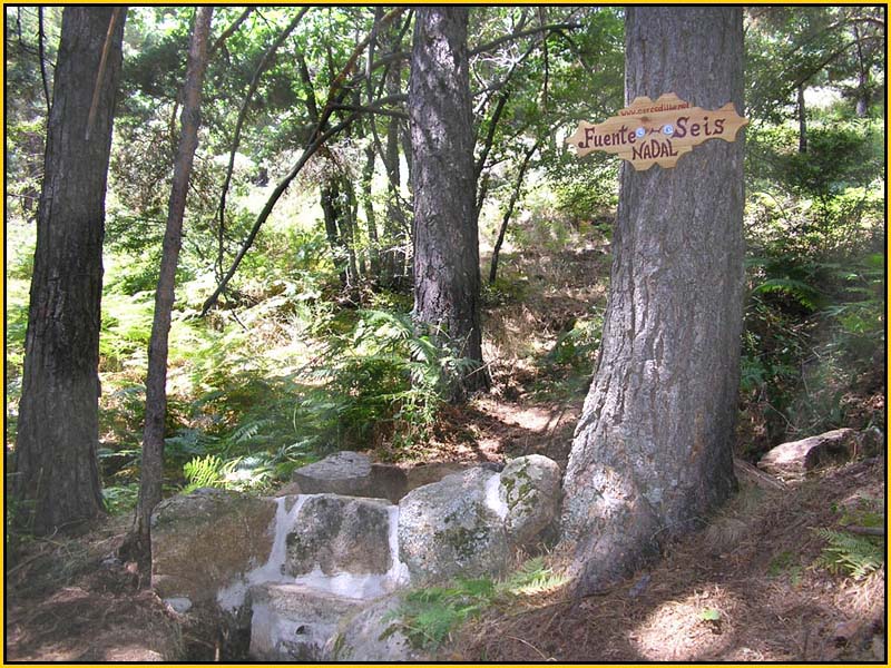 Mis Fuentes - FOTO 69