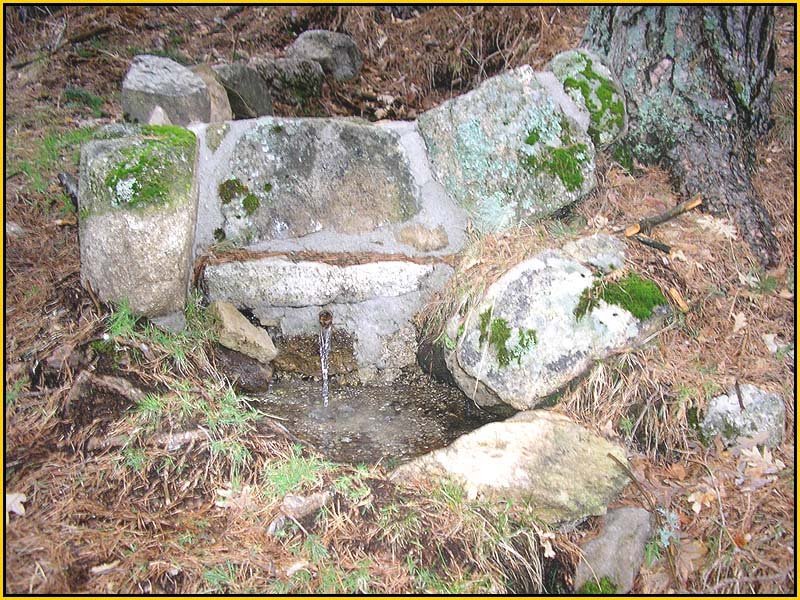 Mis Fuentes - FOTO 70