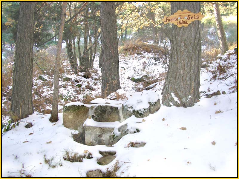 Mis Fuentes - FOTO 71