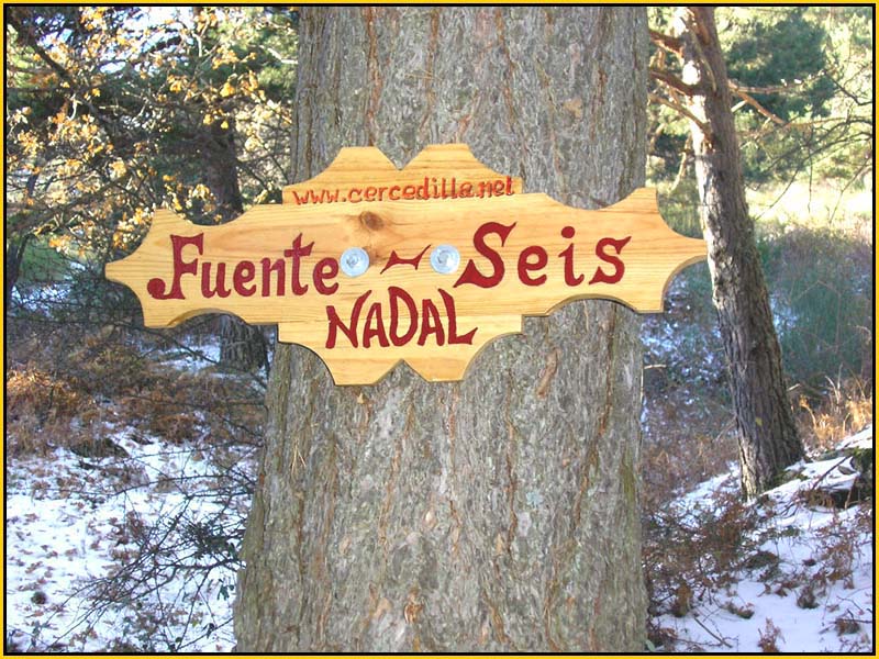 Mis Fuentes - FOTO 72