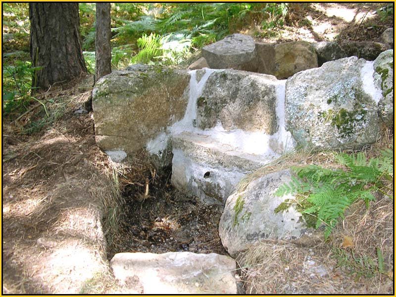 Mis Fuentes - FOTO 73