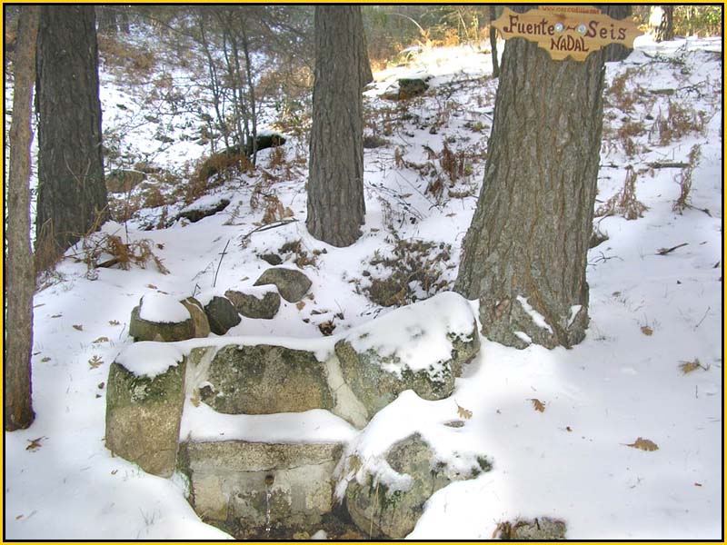 Mis Fuentes - FOTO 74