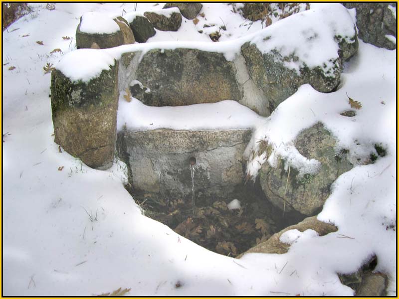 Mis Fuentes - FOTO 75