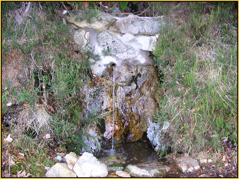 Mis Fuentes - FOTO 77