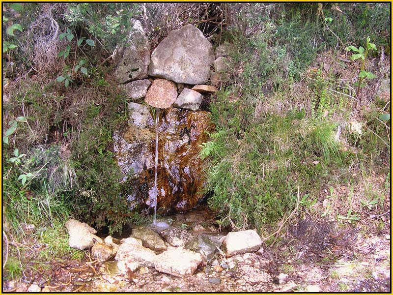 Mis Fuentes - FOTO 78