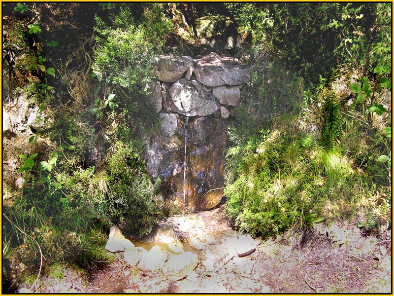 Mis Fuentes - FOTO 79